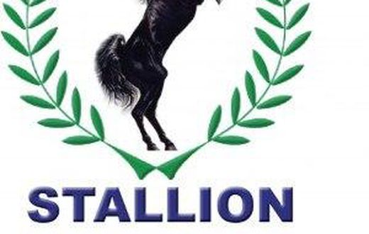Stallion group Nigeria
