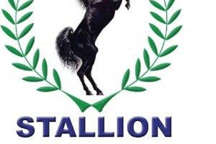 Stallion group Nigeria