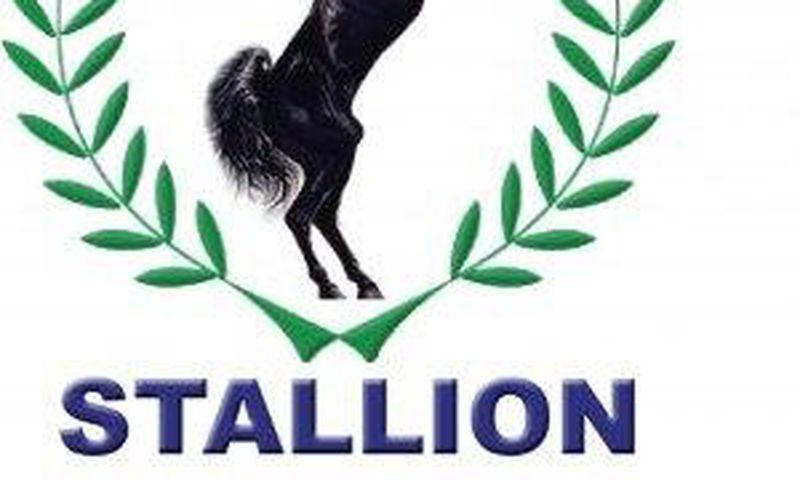 Stallion group Nigeria
