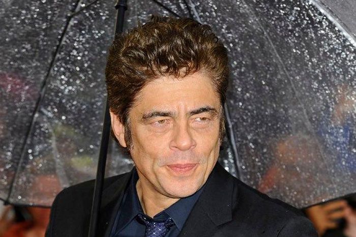 Benicio del Toro
