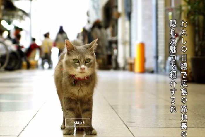 Your maps may not be calibrated well enough for your cat. That's why you need this ingenious solution