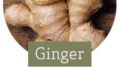 Ginger