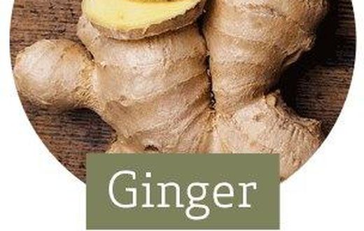 Ginger