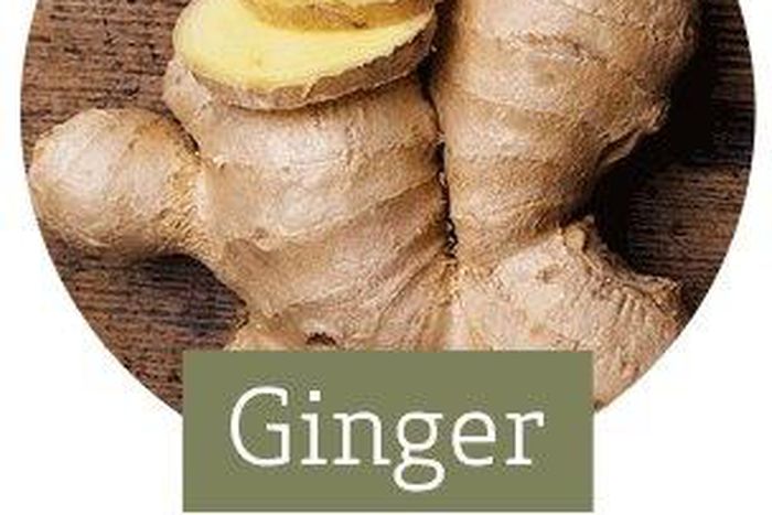 Ginger