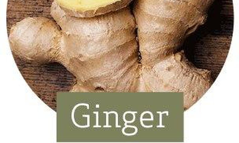 Ginger