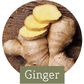 Ginger
