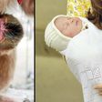 Princess Charlotte and baby monkey Charlotte/Landov
