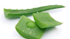 Aloe Vera gel is a great all round beauty product