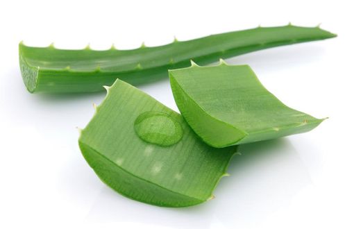 Aloe Vera gel is a great all round beauty product