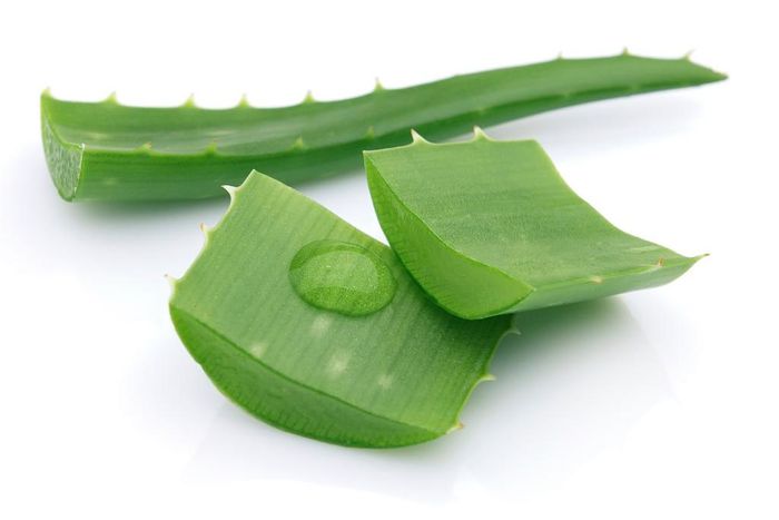 Aloe Vera gel is a great all round beauty product