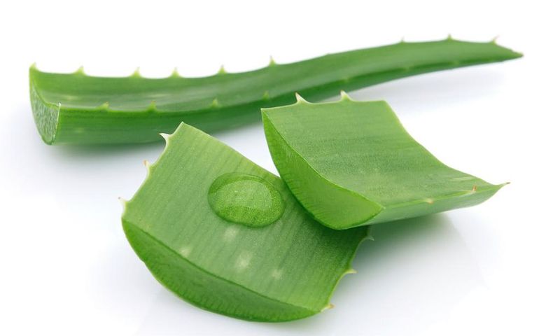 Aloe Vera gel is a great all round beauty product