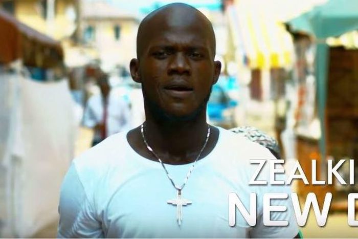ZealKing - New Day