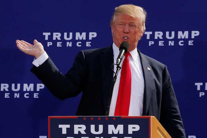 Trump the vulnerable