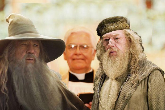 Gandalf and Dumbledore