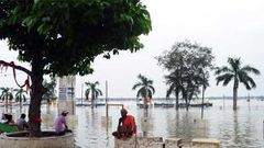 WHO promotes water, sanitation to battle neglected tropical diseases