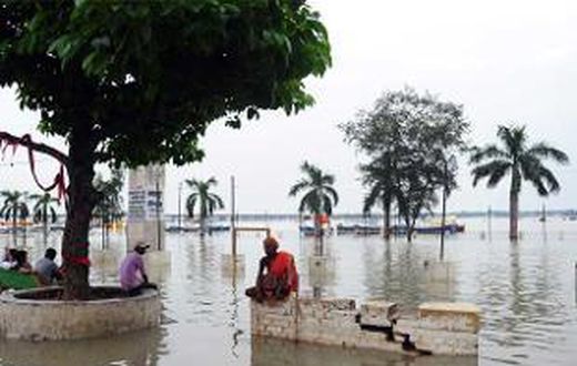WHO promotes water, sanitation to battle neglected tropical diseases