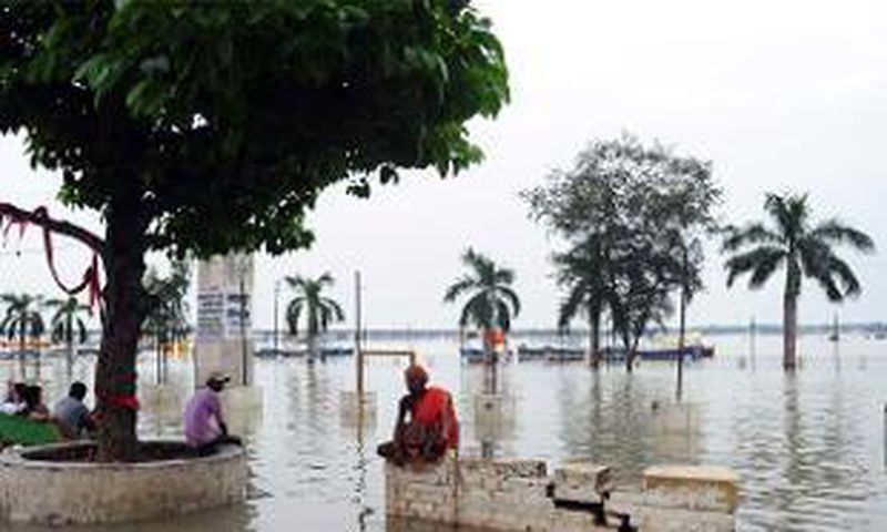 WHO promotes water, sanitation to battle neglected tropical diseases