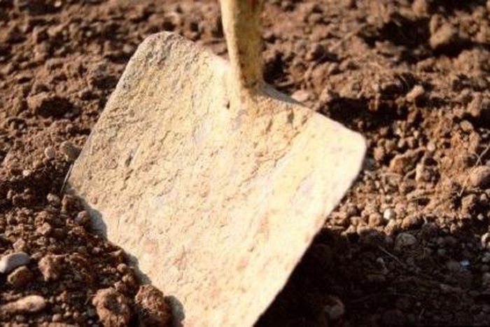 Illustration of grave