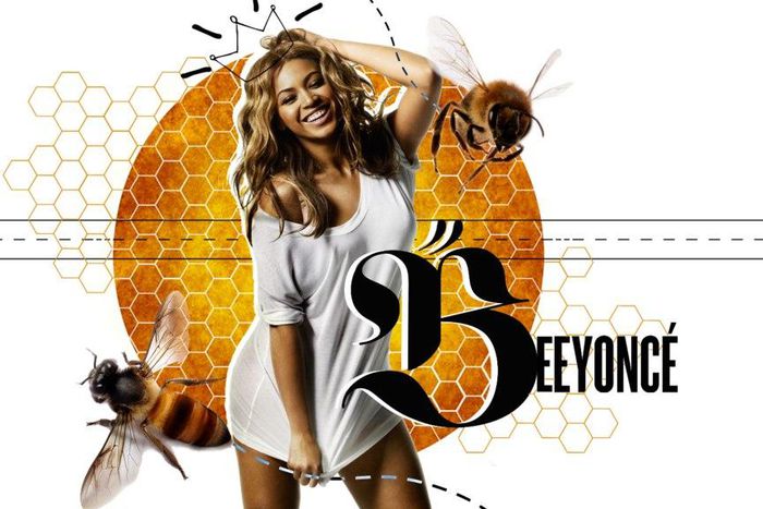 Biologists name Australian bee called Scaptia Beyonceae after diva, Beyonce