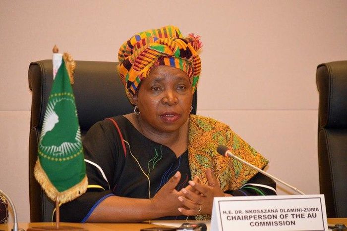___3832850___https:______static.pulse.com.gh___webservice___escenic___binary___3832850___2015___6___5___15___H.E.-Dr-Dlamini-Zuma-addressing-the-media-at-the-AU-headquarters-on-12-06-2013