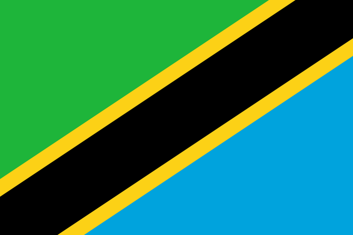Tanzanian Flag