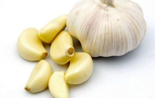 Garlic