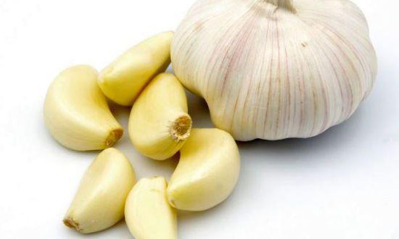 Garlic