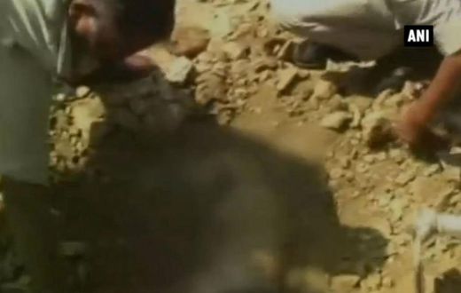 A man in India died after being buried alive by construction workers who failed to spot he had slipped into a pothole.
