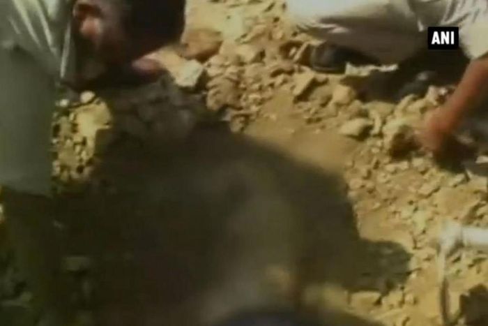 A man in India died after being buried alive by construction workers who failed to spot he had slipped into a pothole.