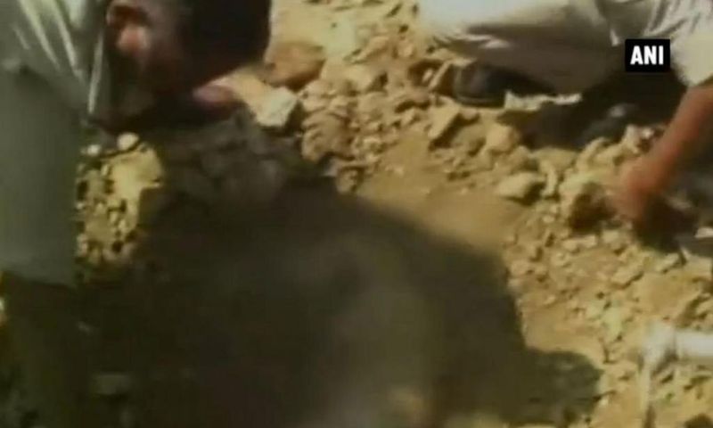 A man in India died after being buried alive by construction workers who failed to spot he had slipped into a pothole.