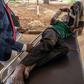 A man is loaded into a car after allegedly being assaulted on Wednesday by soldiers in Bulawayo's Sizinda township