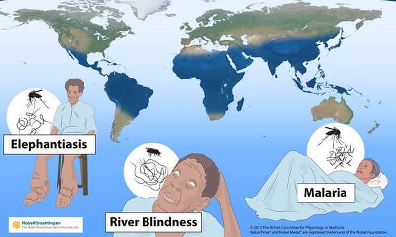 Nobel medicine prize awarded for work on parasitic diseases