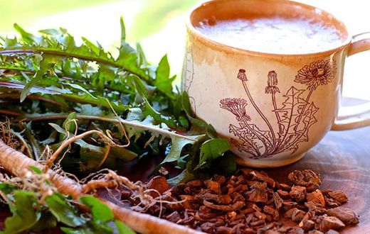 dandelion-root-1