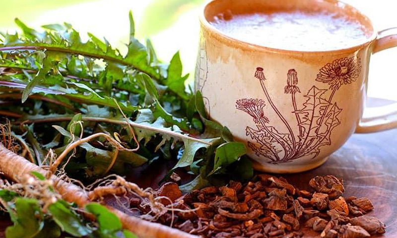 dandelion-root-1