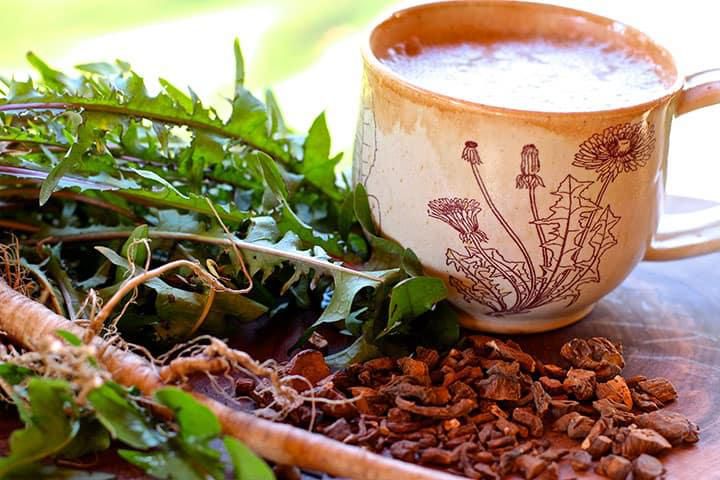 dandelion-root-1