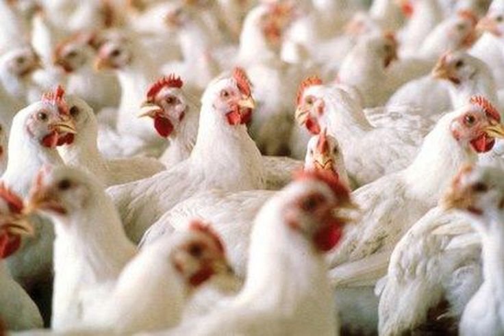 ___3976285___https:______static.pulse.com.gh___webservice___escenic___binary___3976285___2015___7___15___14___Screen-Shot-2015-04-29-at-3.18.43-PM-429x285