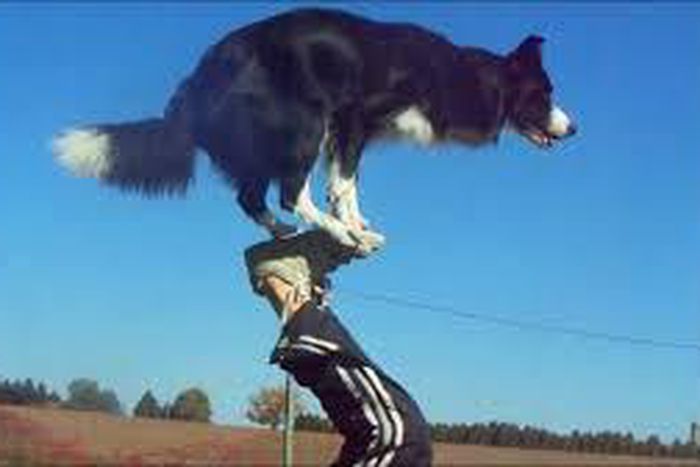 ___3828677___https:______static.pulse.com.gh___webservice___escenic___binary___3828677___2015___6___4___16___imgres