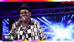 Mogo awards highlights