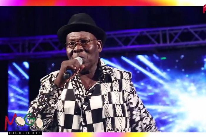 Mogo awards highlights