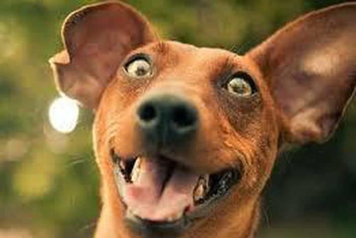 ___3876389___https:______static.pulse.com.gh___webservice___escenic___binary___3876389___2015___6___17___15___images