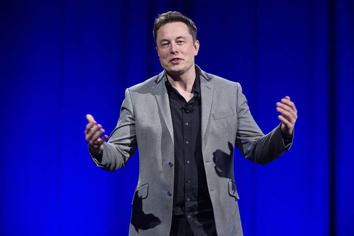 Tesla CEO and Co-Founder, Elon Musk