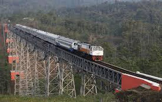 Indonesia hopes to start building new railway this year- minister