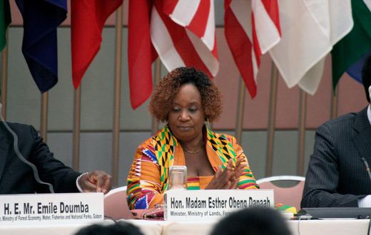Hon. Esther Obeng-Dapaah