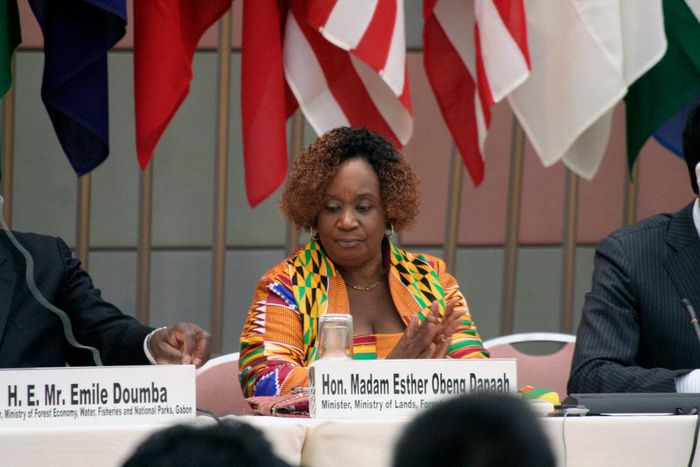 Hon. Esther Obeng-Dapaah