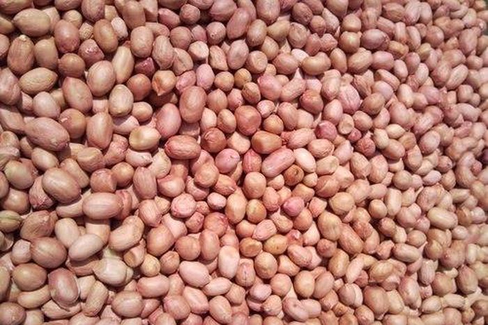 ___4026285___https:______static.pulse.com.gh___webservice___escenic___binary___4026285___2015___7___30___12___489