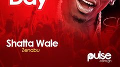 Song Of The Day: Shatta Wale - Zinabu