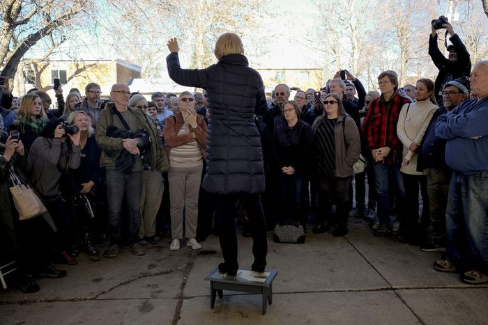 Democrats Find a Foil for 2020 Primary: Billionaires (Even Liberal Ones)