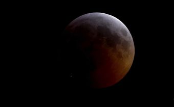 During the Lunar Eclipse, Something Slammed Into the Moon
