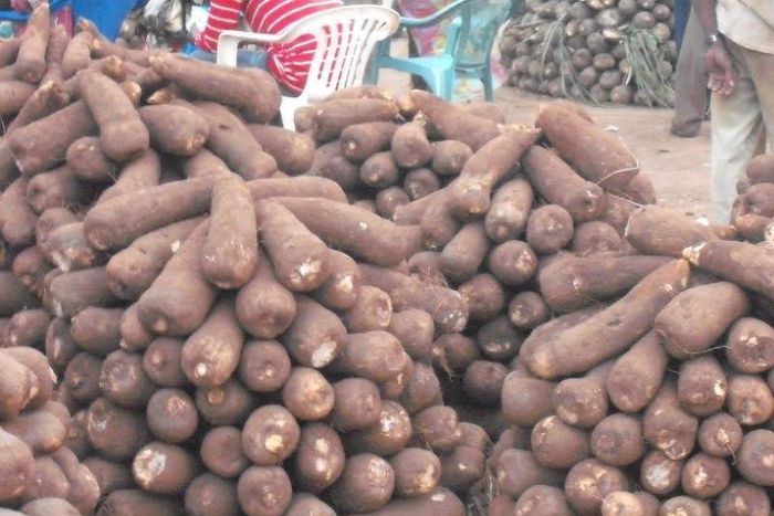 ___4065655___https:______static.pulse.com.gh___webservice___escenic___binary___4065655___2015___8___12___19___Yam