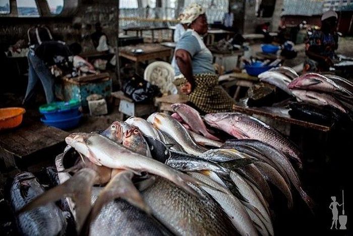 A fish market in Nigeria